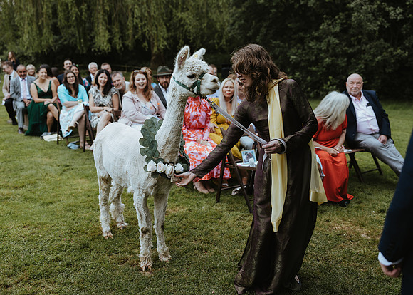 A colourful and relaxed Alpaca themed wedding   at the Plough in Liegh near Tonbridge, Kent