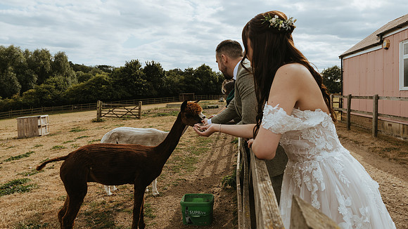 A relaxed and fun Wedding Party at Kent Life near Maidstone