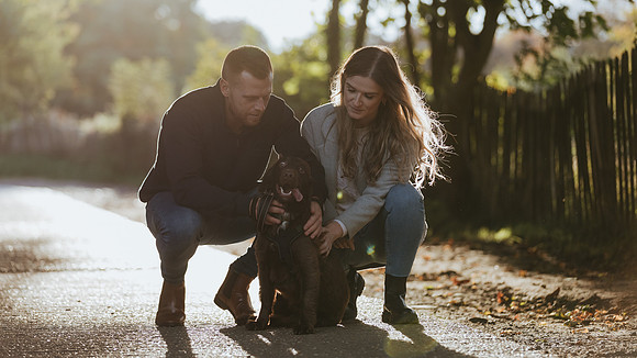 An autumn evening pre wedding shoot at Penshurst Place in Kent