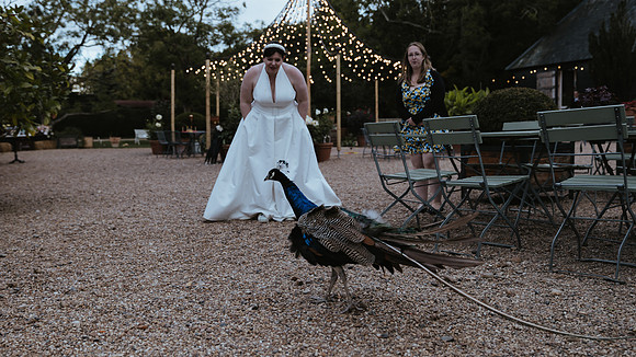 A fun and colourful Alice in Wonderland themed wedding at Preston Court near Canterbury in Kent