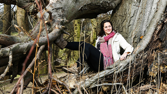 The tree house at Knowle Park, Kent