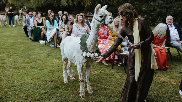 A colourful and relaxed Alpaca themed wedding   at the Plough in Liegh near Tonbridge, Kent