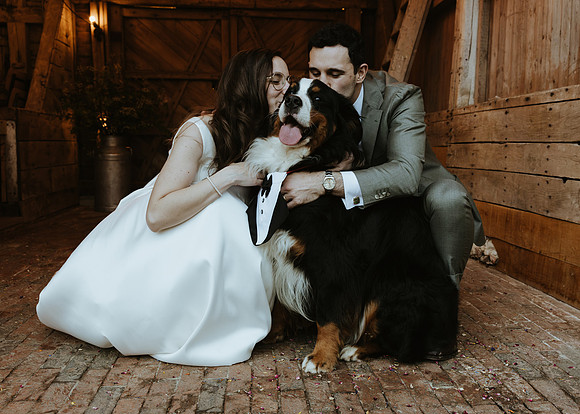 An intimate and relaxed wedding at Squerryes Court with receptions at both Squerryes winery in Westerham and Falconhurst in Markbeech, Kent
