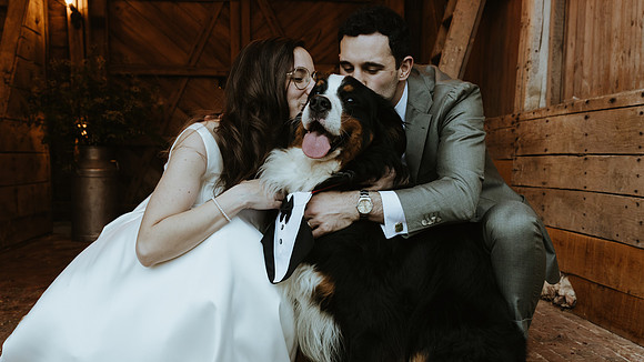 An intimate and relaxed wedding at Squerryes Court with receptions at both Squerryes winery in Westerham and Falconhurst in Markbeech, Kent
