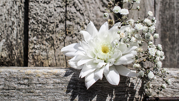 A White wedding Button hole